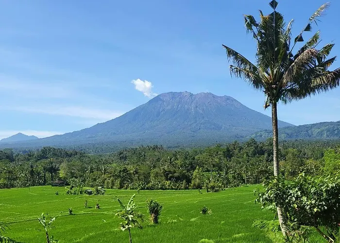Jiva Bali - Inaya Selat